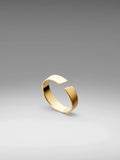 VL. Adjustable Gold Ring