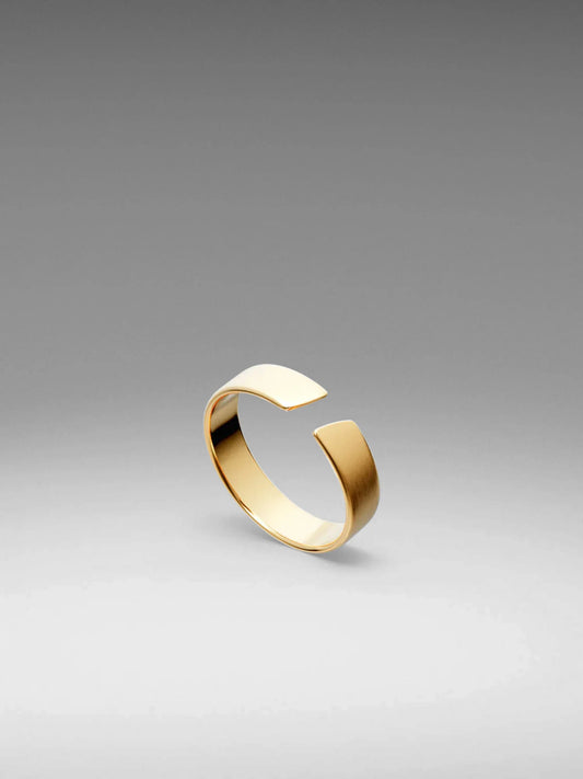 VL. Adjustable Gold Ring